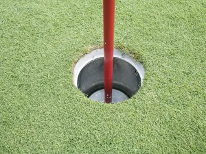 Mar 2014 plus Spring Swing 038